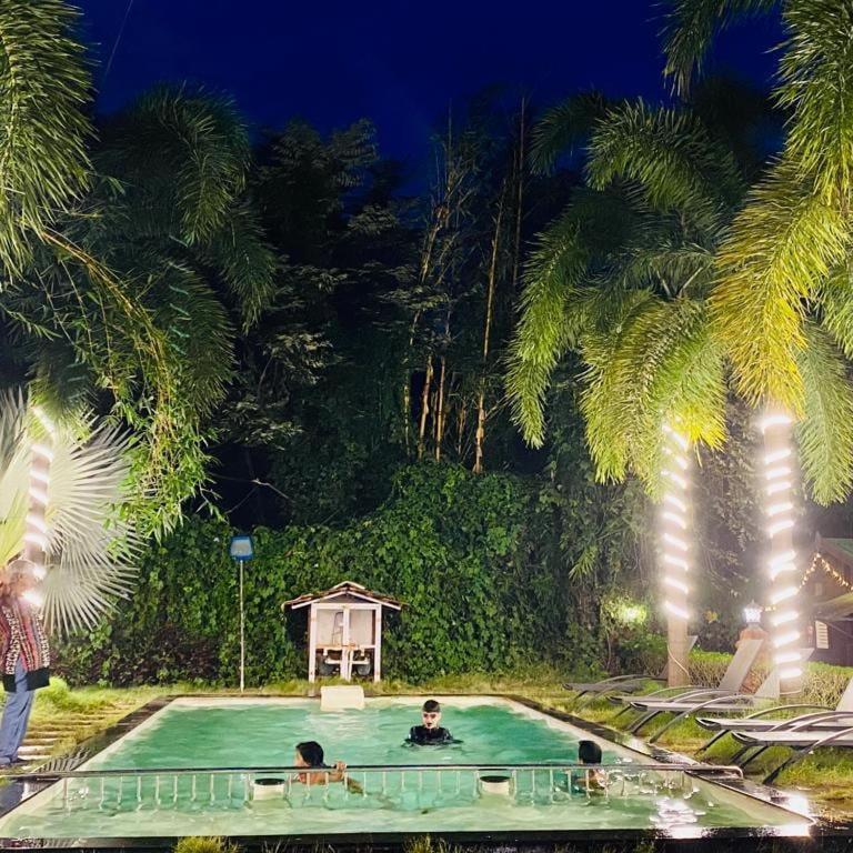 Tranquility Baga