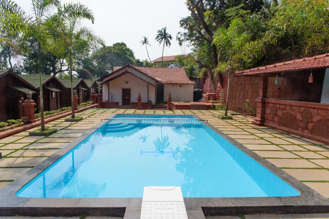 Tranquility Baga