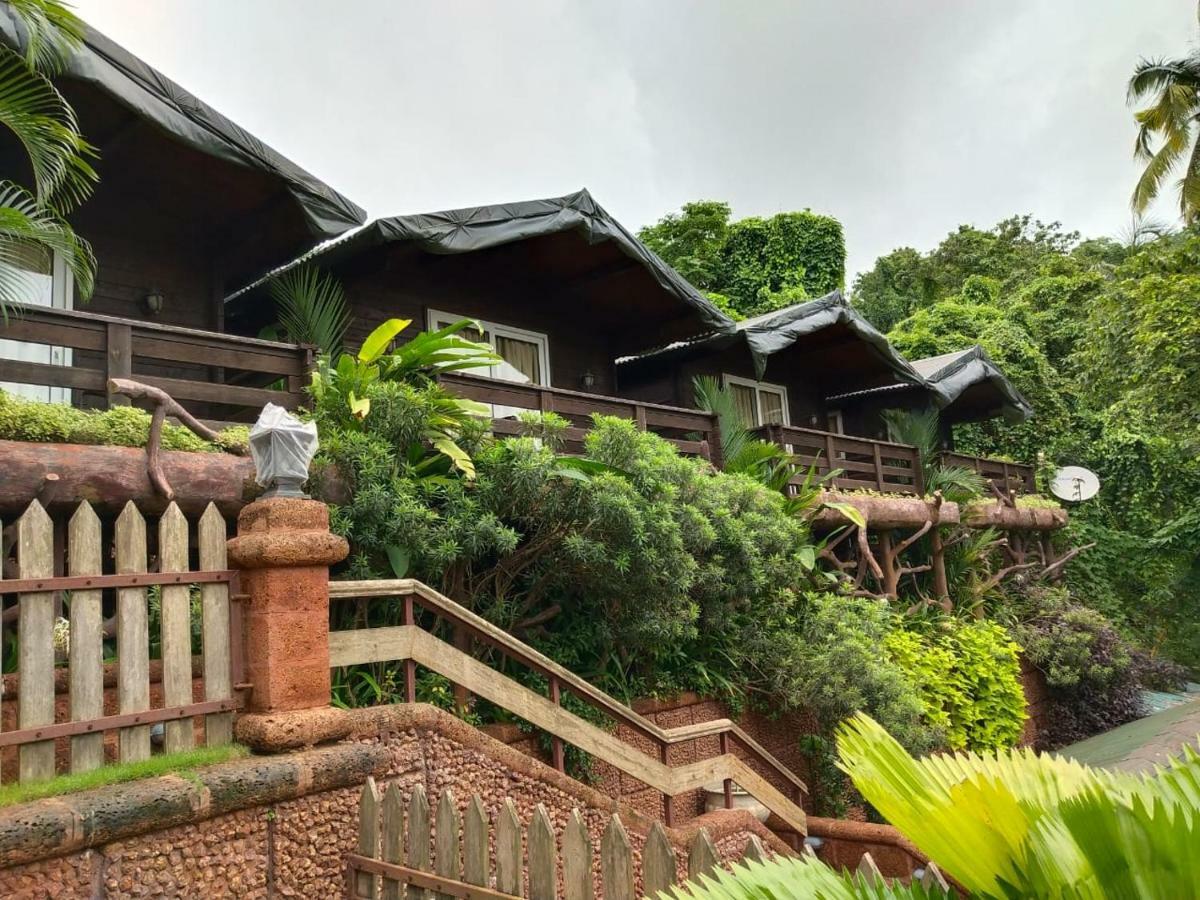 Tranquility Baga