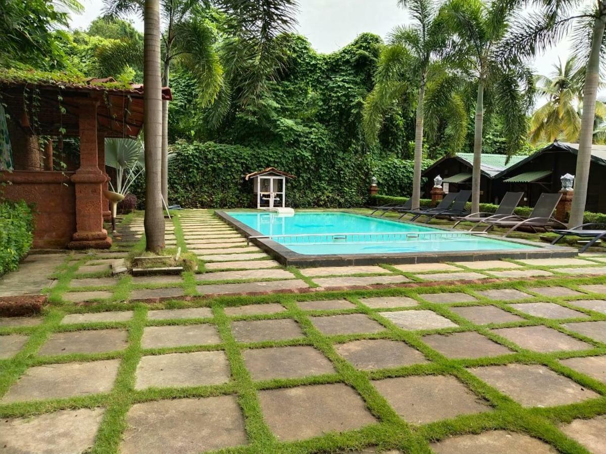 Tranquility Baga